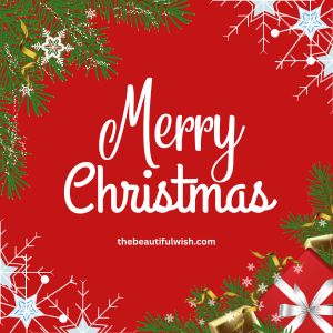 christmas greetings grandson