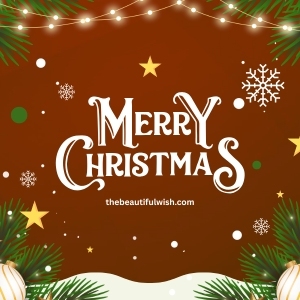 christmas message to a doctor
