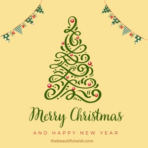 merry christmas brother