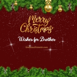 merry christmas for brother
