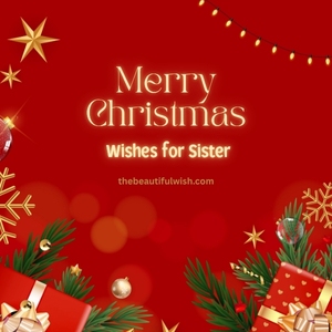merry christmas sister
